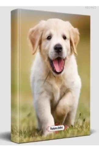 Mutlu Prens - Planlama Defteri