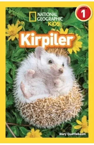 National Geographic Kids Okuma Serisi Seviye 1 - Kirpiler