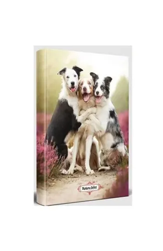 Neşeli Dostlar - Planlama Defteri