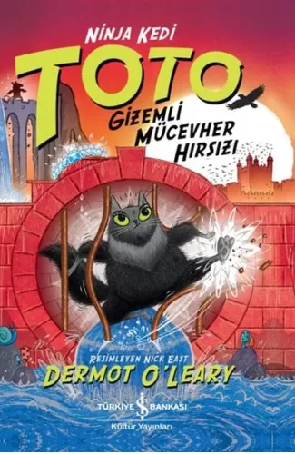 Ninja Kedi Toto – Gizemli Mücevher Hırsızı