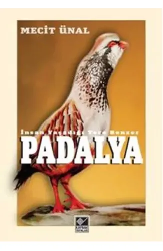 Padalya