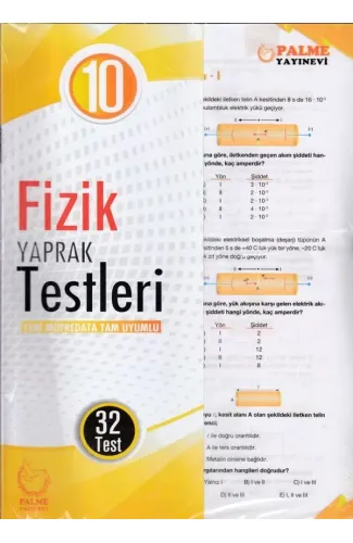 Palme 10. Sınıf Fizik Yaprak Test (Yeni)