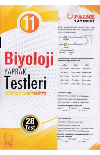 Palme 11. Sınıf Biyoloji Yaprak Test (Yeni)