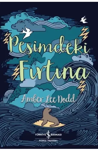 Peşimdeki Fırtına