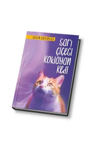 Sarı Çiçeği Koklayan Kedi