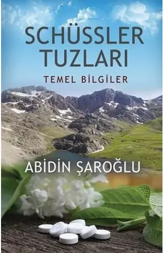 Schüssler Tuzları