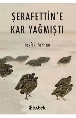 Şerafettin'e Kar Yağmıştı