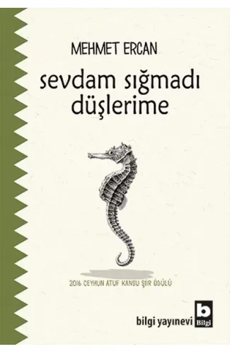 Sevdam Sığmadı Düşlerime