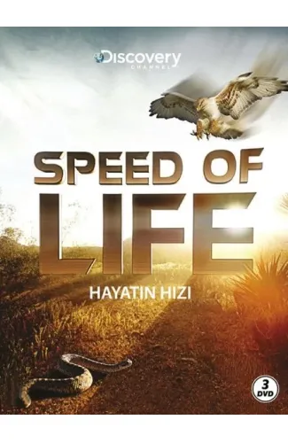 Speed Of Life - Hayatın Hızı