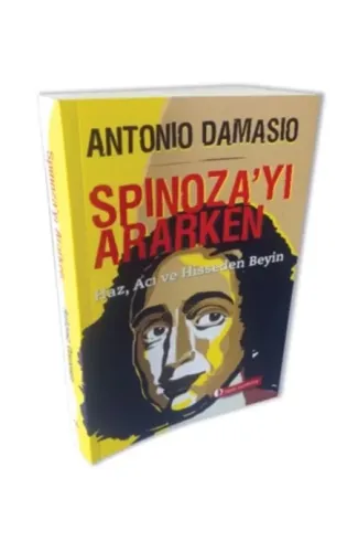 Spinoza’yı Ararken