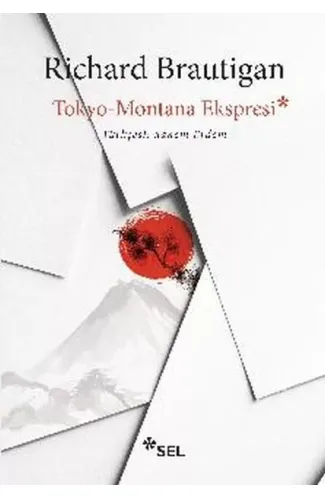 Tokyo - Montana Ekspresi