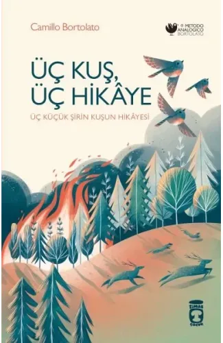 Üç Kuş, Üç Hikâye