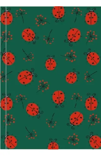 Uğur Böceği A5 Defter 15x21