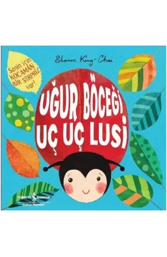 Uğur Böceği Uç Uç Lusi