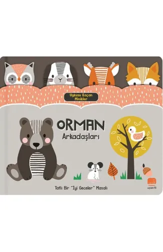 Uykusu Kaçan Minikler Orman Arkadaşları