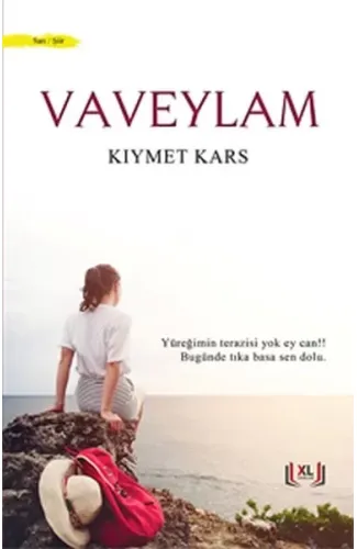 Vaveylam