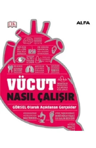 Vücut Nasıl Çalışır