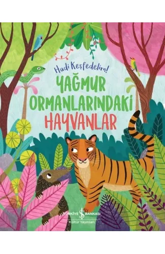 Yağmur Ormanlarındaki Hayvanlar – Hadi Keşfedelim!