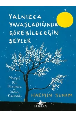 Yalnızca Yavaşladığında Görebileceğin Şeyler (Ciltli)