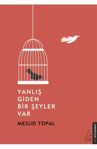 Yanlış Giden Bir Şeyler Var