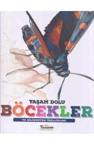 Yaşam Dolu Böcekler