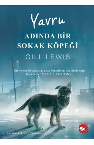 Yavru Adında Bir Sokak Köpeği