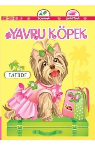 Yavru Köpek Tatilde